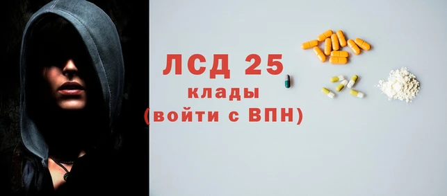 тгк Алзамай