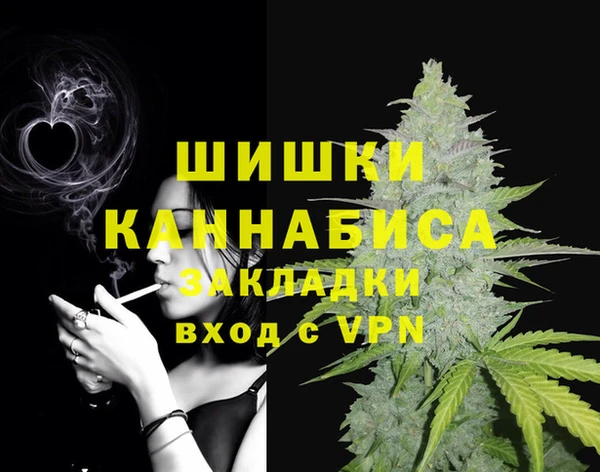 индика Алексеевка