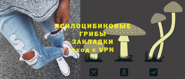 тгк Алзамай