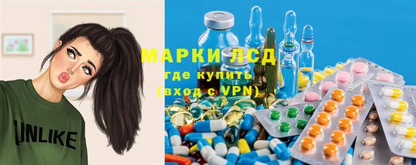индика Алексеевка