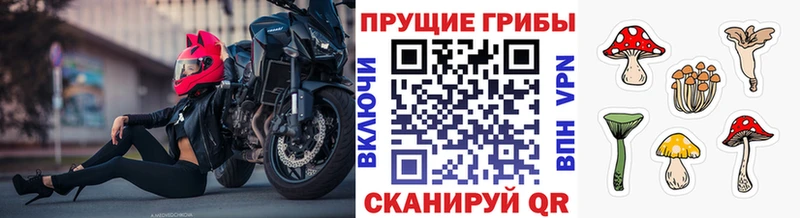Псилоцибиновые грибы MAGIC MUSHROOMS  Долинск 